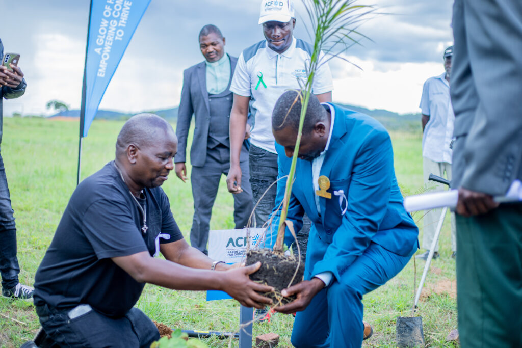 Tree Planting Day: Chimombe Primary School 2026